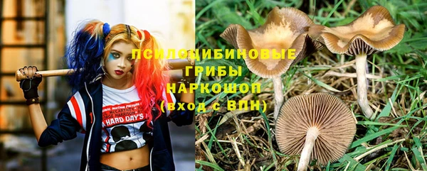 молекула духа Балабаново