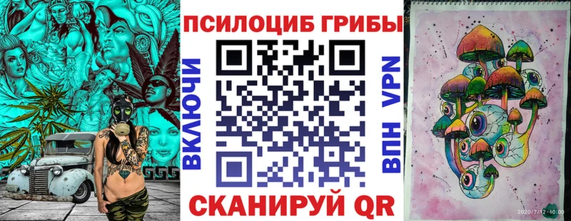 Псилоцибиновые грибы прущие грибы  где можно купить наркотик  Ленинск-Кузнецкий 