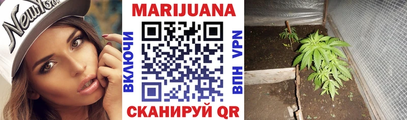 мориарти клад  Ленинск-Кузнецкий  Каннабис семена  MEGA рабочий сайт 